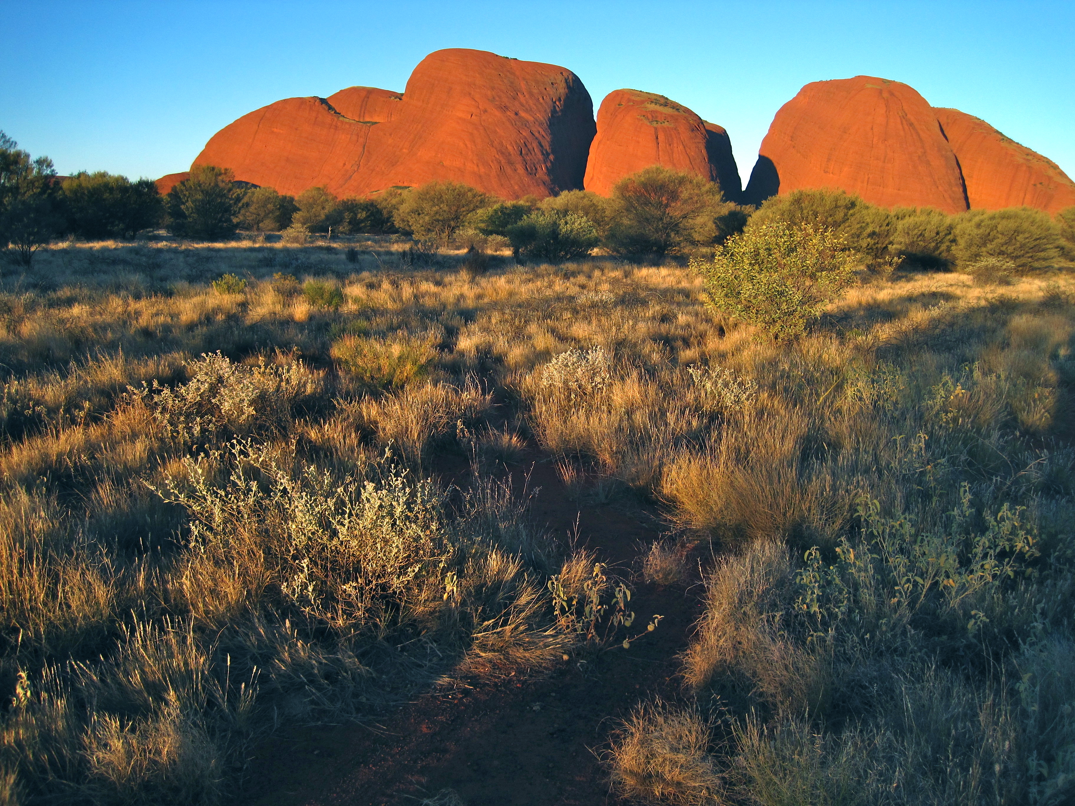 Kata Tjuta (The Olgas) at Sunset, Uluru-Kata Tjuta National Park, Australia бесплатно
